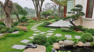 thiet ke canh quan san vuon xaydungqtt