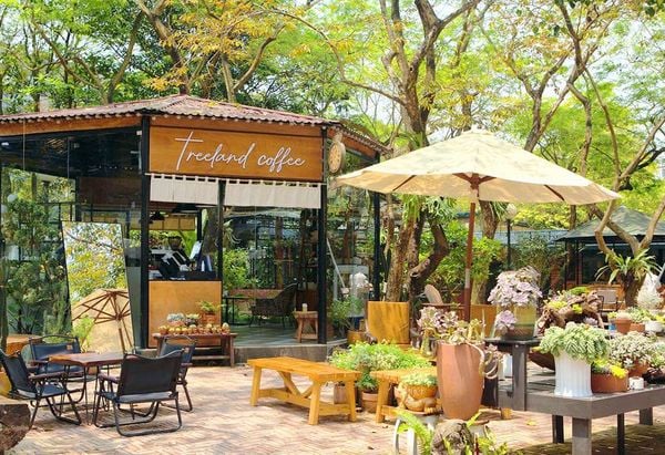 Top 5 đồ trang trí quán cà phê - Bí quyết tạo điểm nhấn Top 5 đồ trang trí quán cà phê - Bí quyết tạo điểm nhấn thu hút khách hàng
